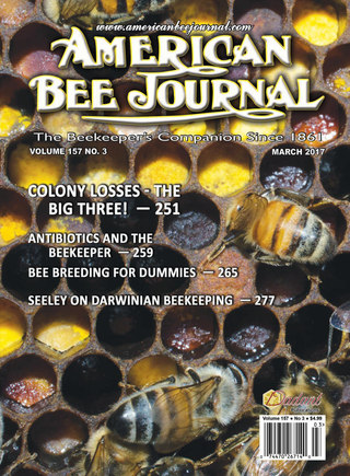 American Bee Journal, cover photo of honey bees