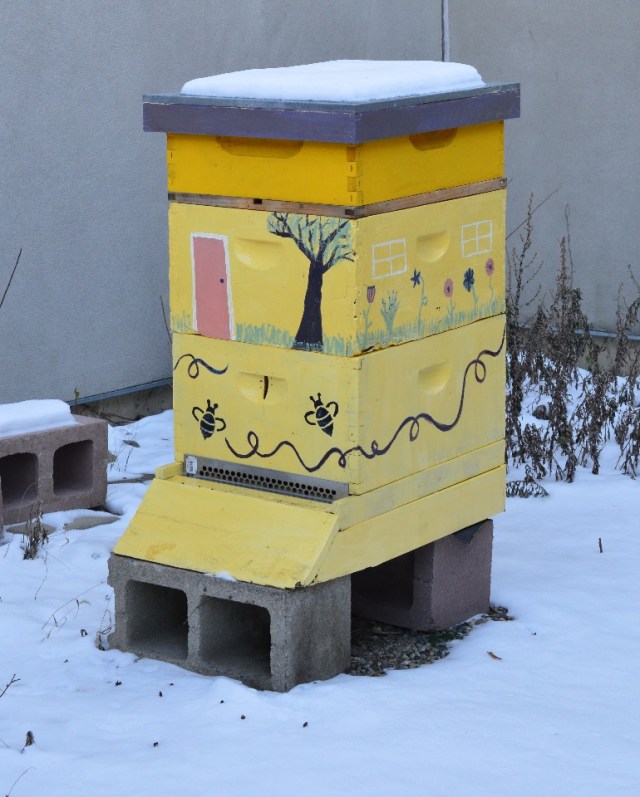 Langstroth hive in the wintertime.