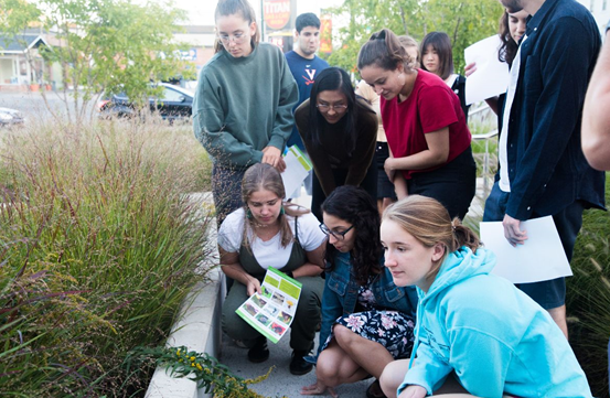 Pollination Ecology students doing fieldwork