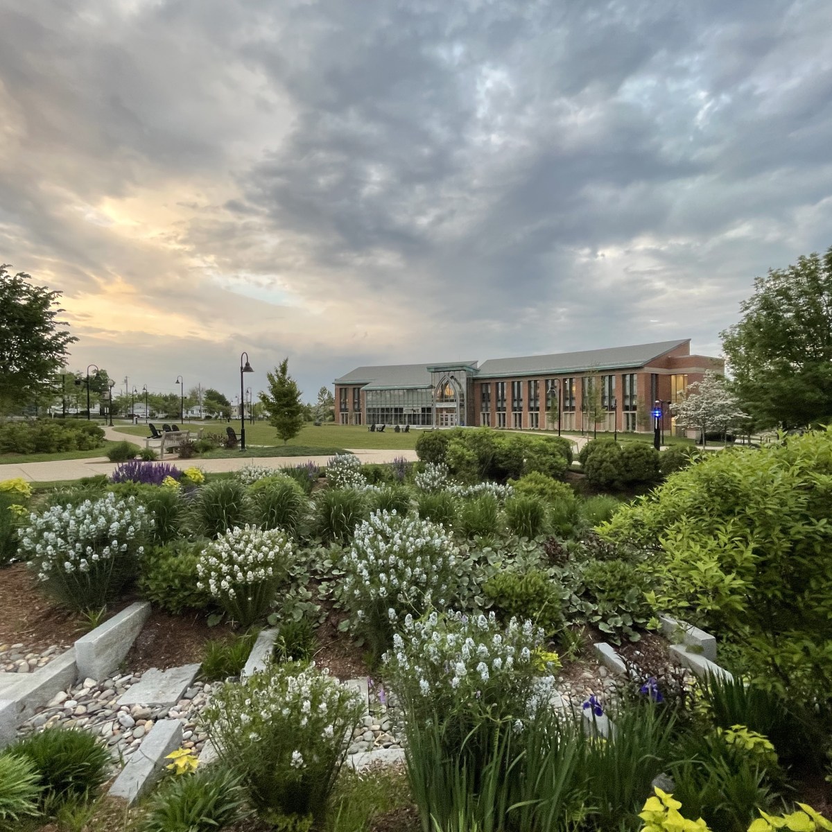 Flowers in Providence College gardens