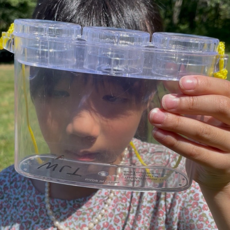 Fourth annual Pollinator Safari